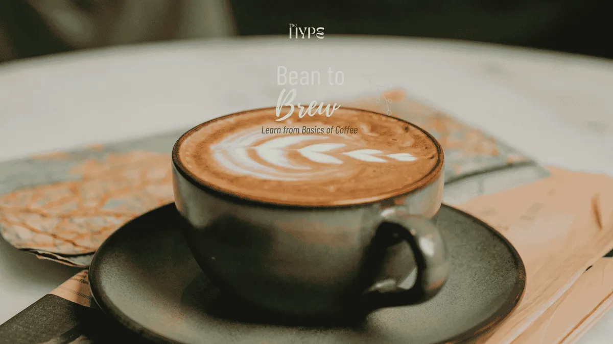 Bean to Brew