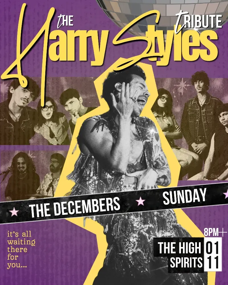 The Harry Styles Tribute by The Decembers